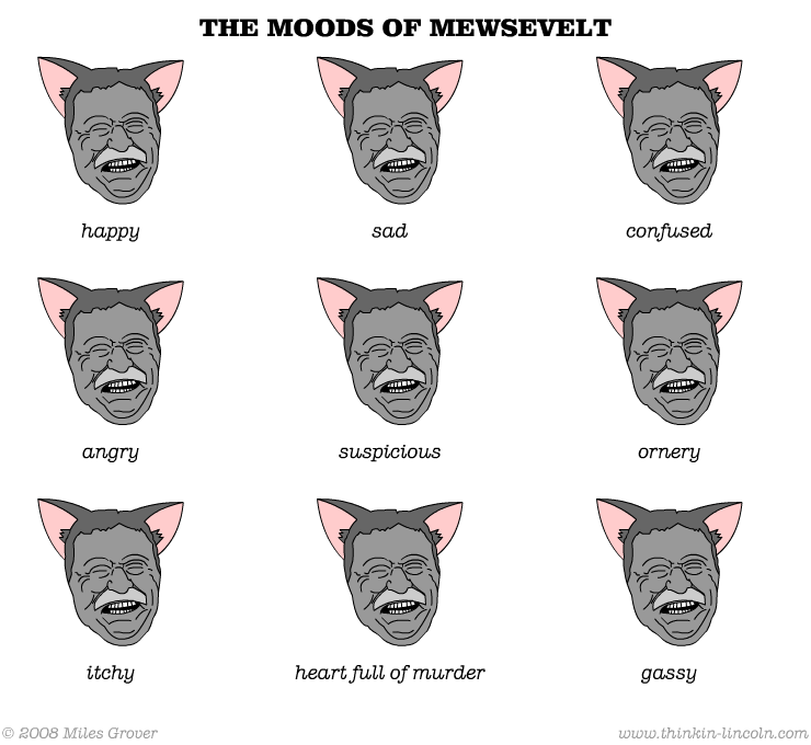 The Moods of Mewsevelt